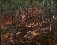 Reprodukce barevná-Antonín Slavíček, Slunce v lese, 30 x 42 cm