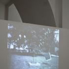 fotogalerie