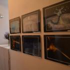 fotogalerie