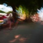 fotogalerie